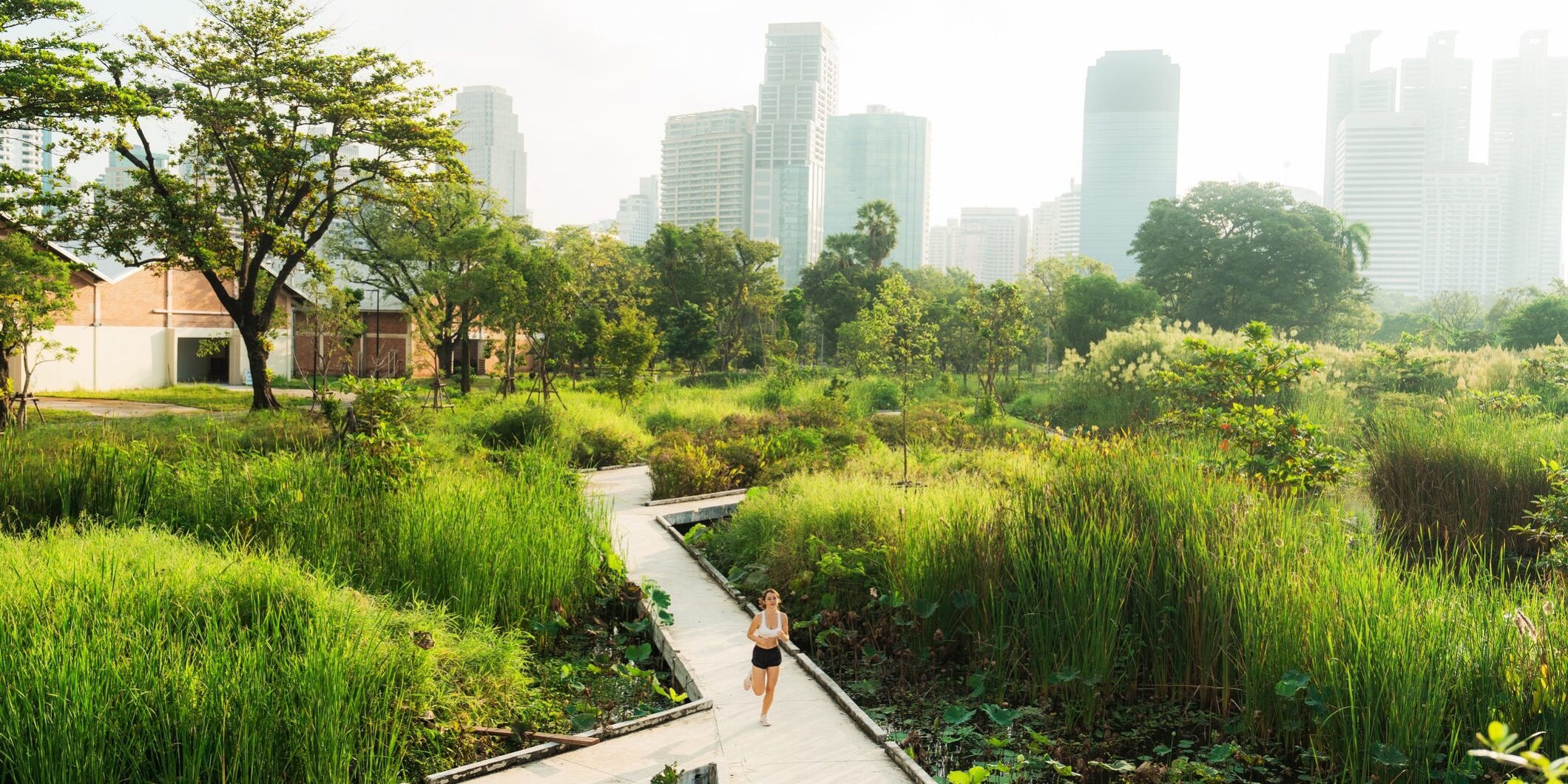 sustainable solutions to inflow and infiltration