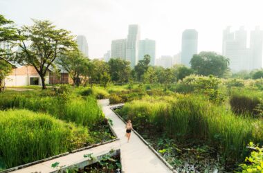 sustainable solutions to inflow and infiltration