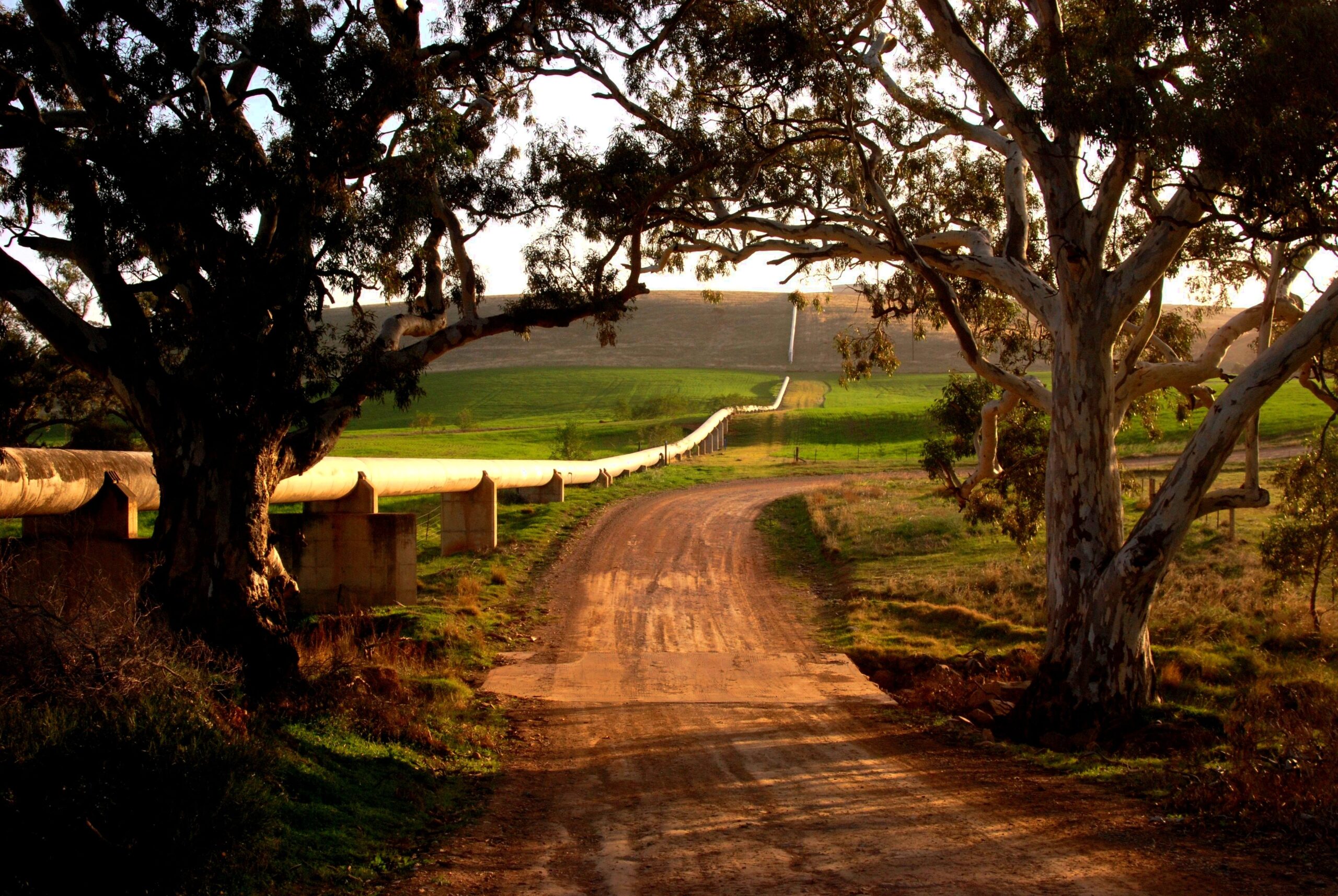 condition assessment