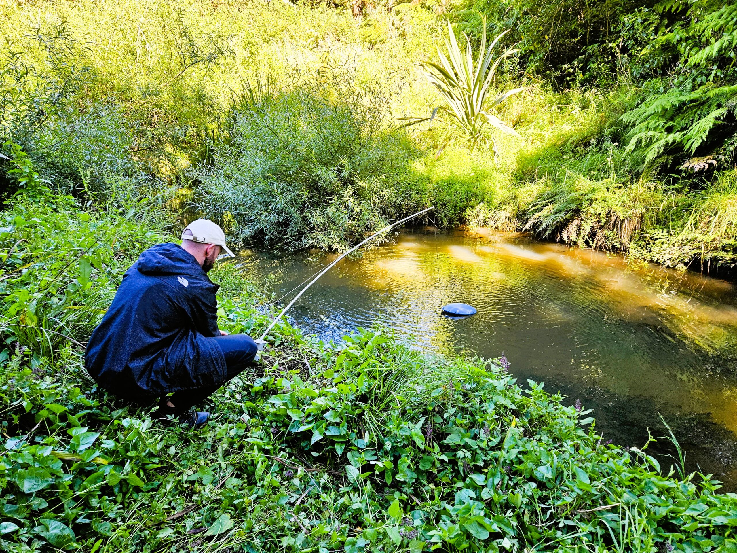 water quality monitoring