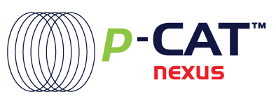 pipeline condition assessment